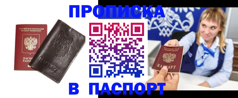 где прописаться в Опочке